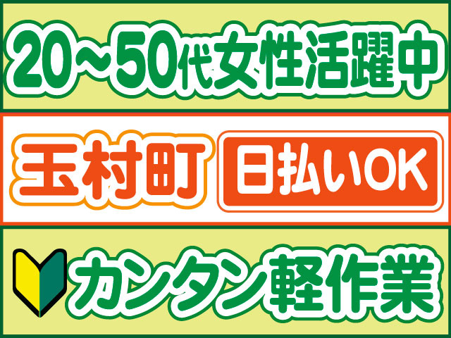 かんたん軽作業　未経験OK　玉村町　日払いOK　20代～50代女性活躍中
