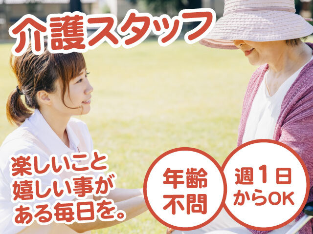 写真1