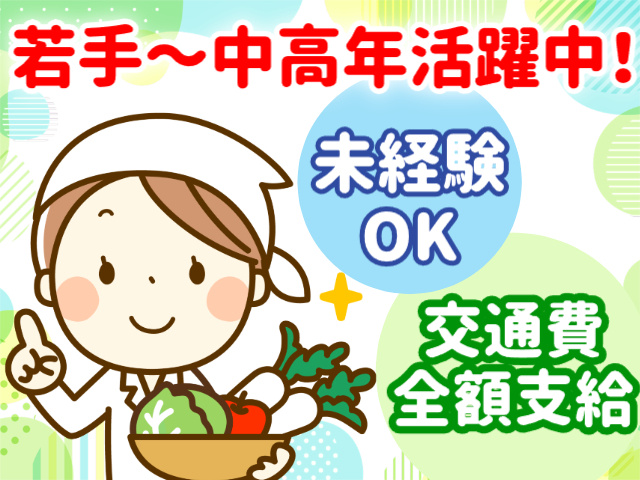 未経験OK