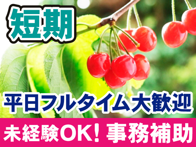 短期。平日フルタイム大勤務。未経験OK！事務補助。さくらんぼの写真。