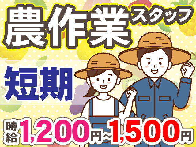 株式会社松栗の求人情報を見る