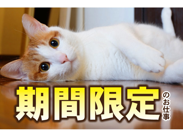 写真2