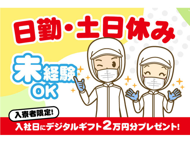 写真1