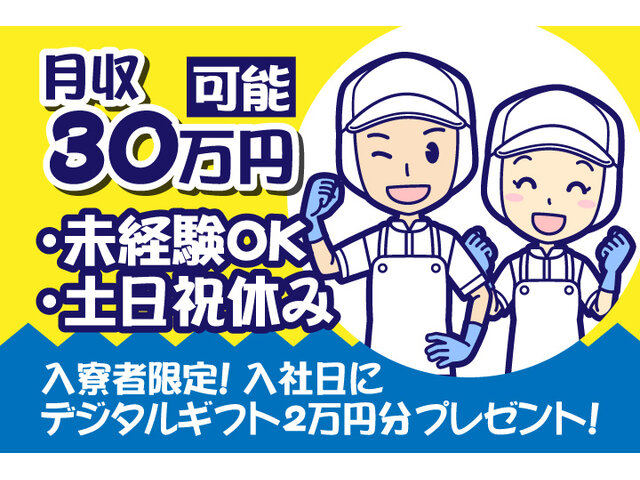 写真1