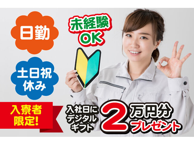 写真1
