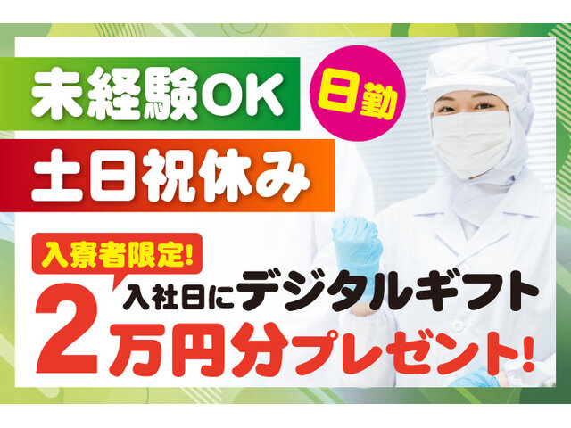 写真1