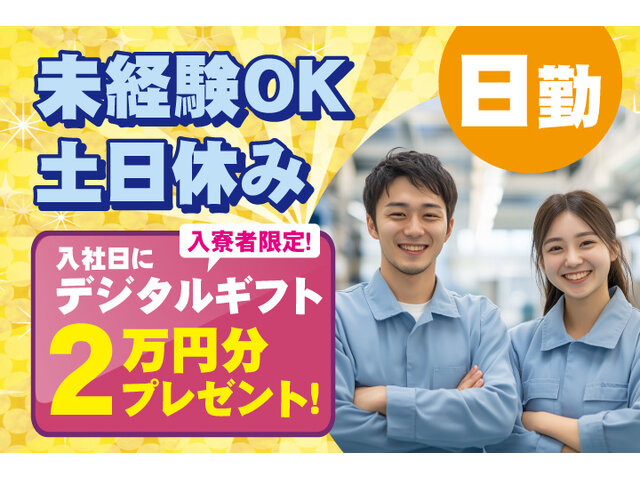 写真1