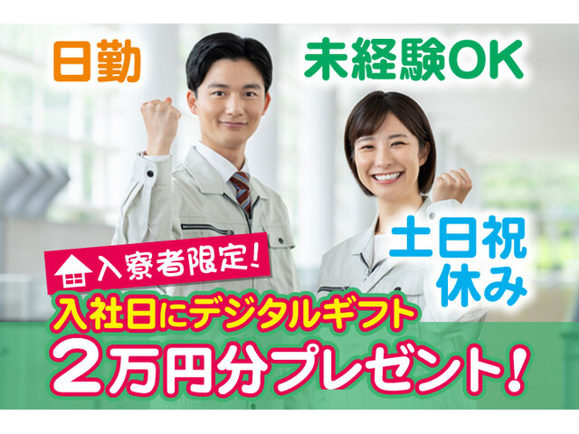 写真1