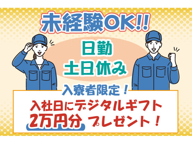 写真1