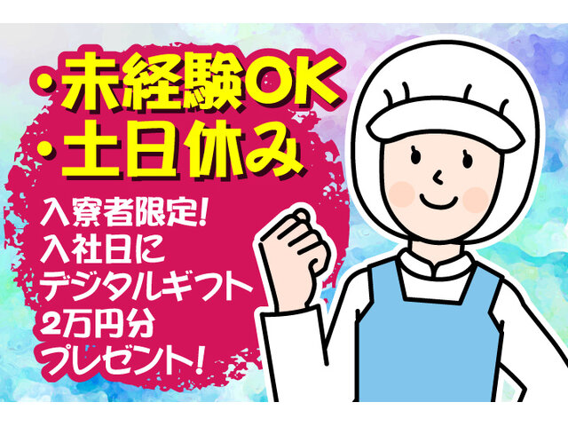 写真1