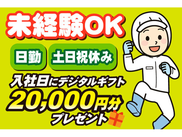 写真1