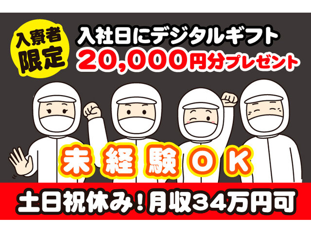 写真1