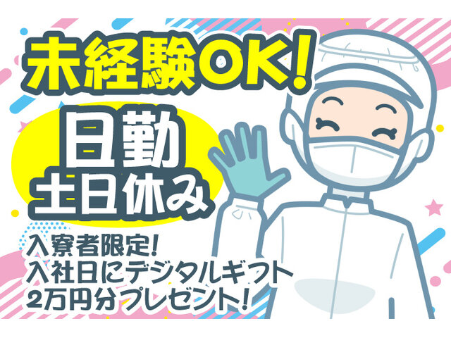 写真1
