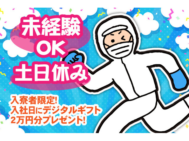 写真1