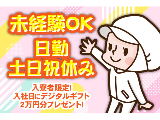 写真1