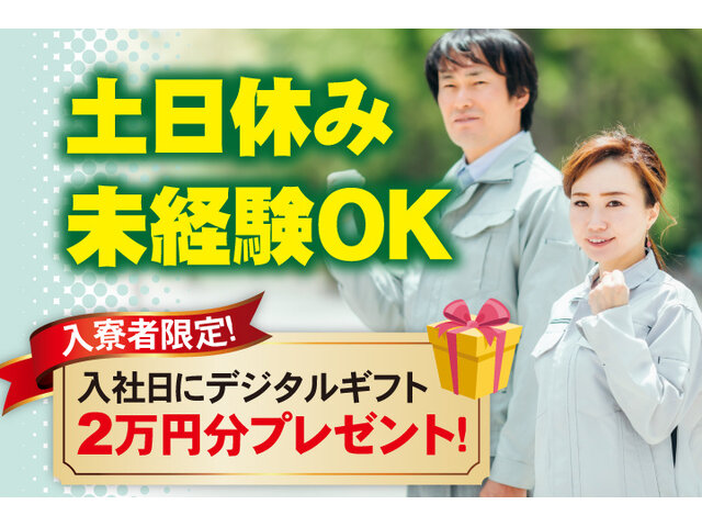 写真1