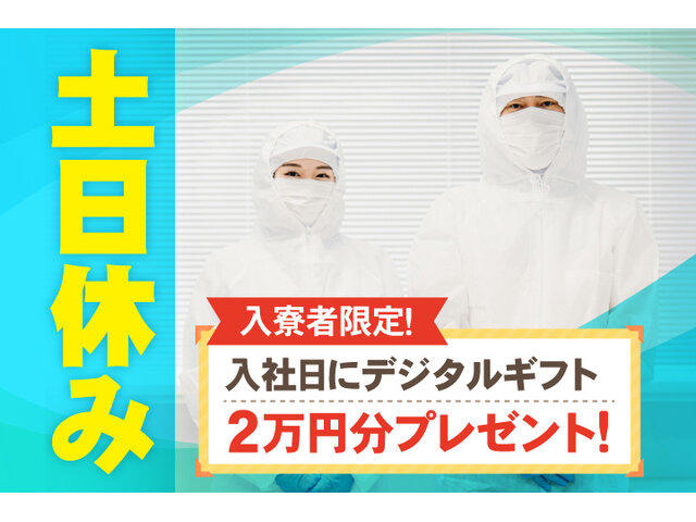 写真1