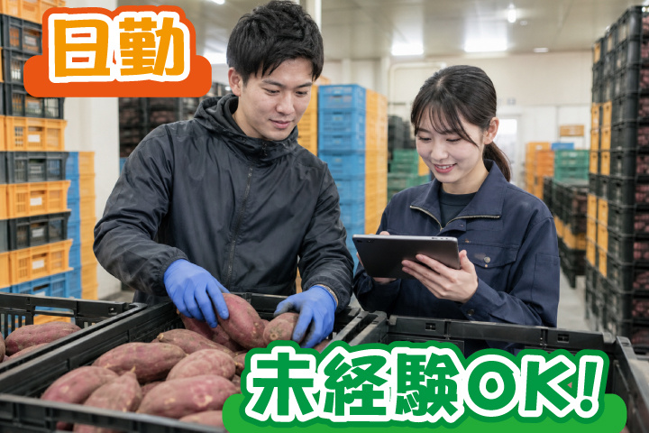 未経験OK 日勤