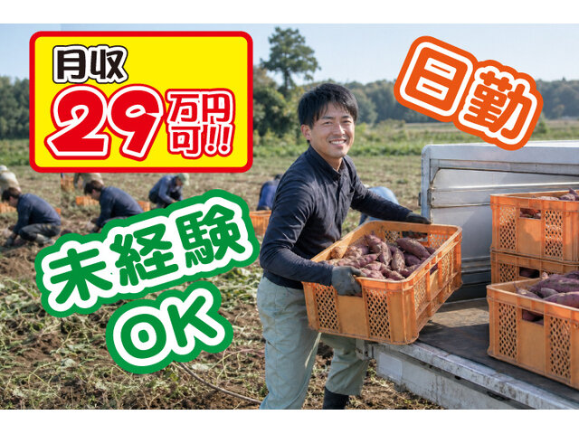 写真1