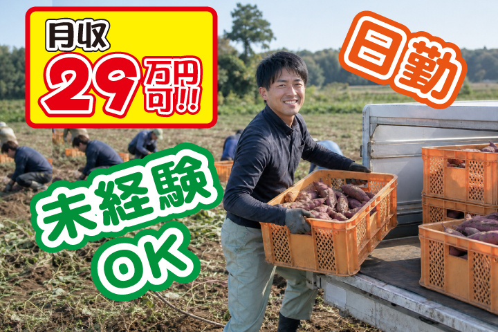 未経験OK 日勤 月収29万円可
