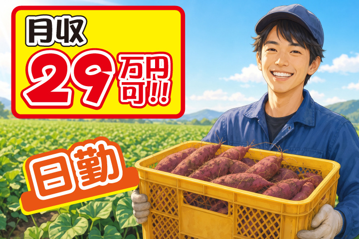 日勤 月収29万円可
