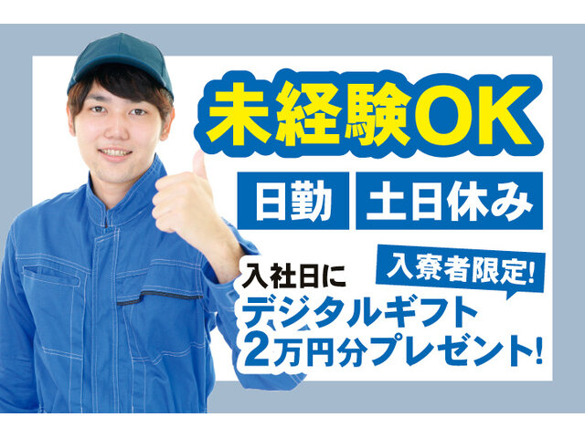 写真1