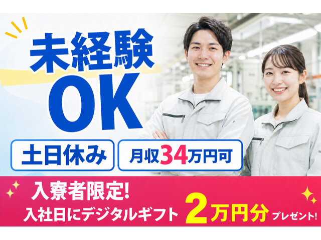 写真1