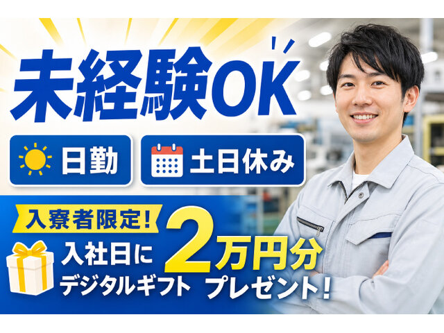 写真1