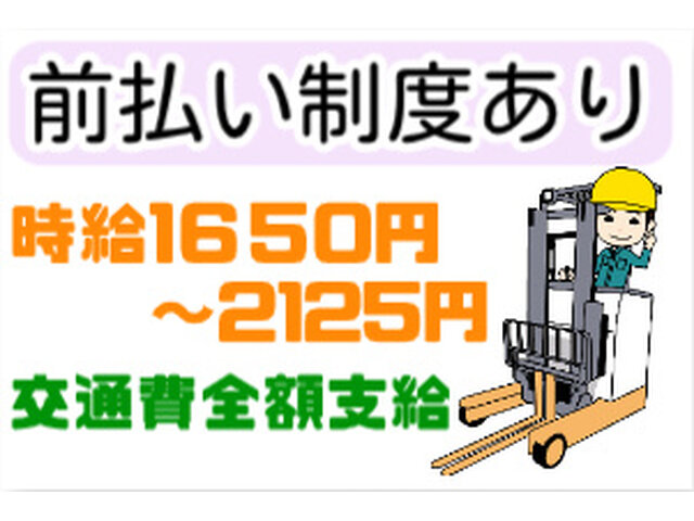 写真1