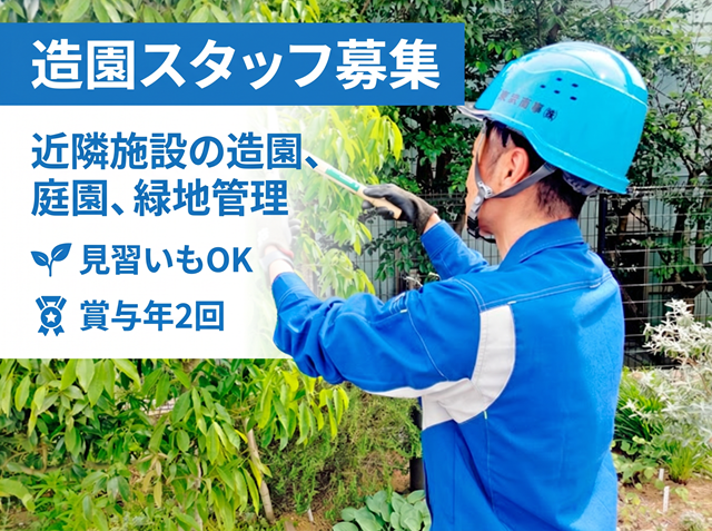 植木を切っている男性