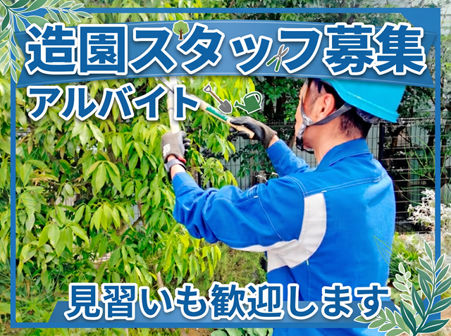 植木を切っている男性