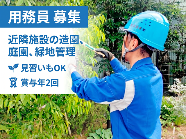 植木を切っている男性