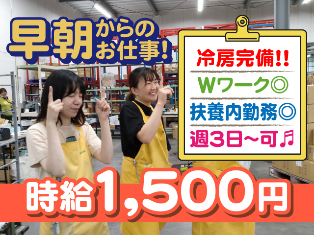 早朝軽作業　女性スタッフ