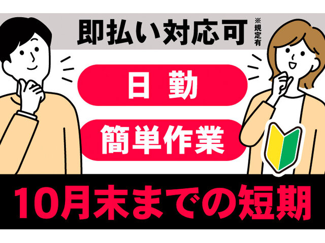 写真1