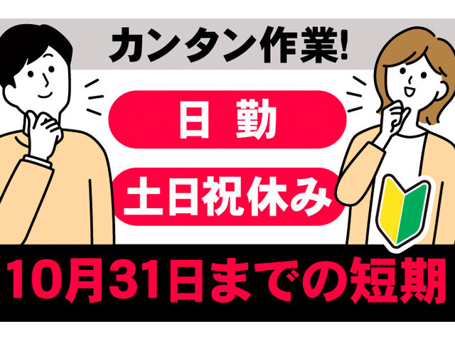 写真1