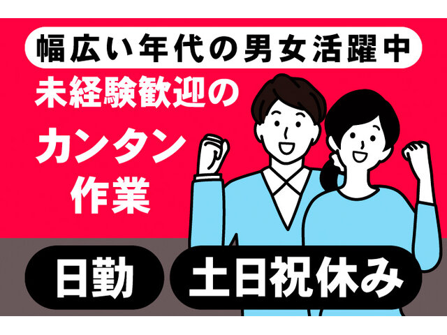 写真1