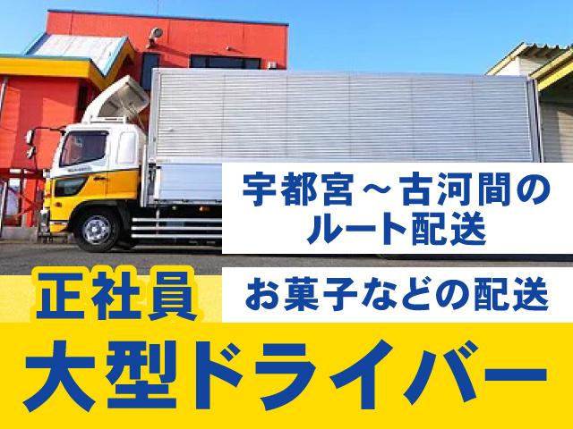 大型