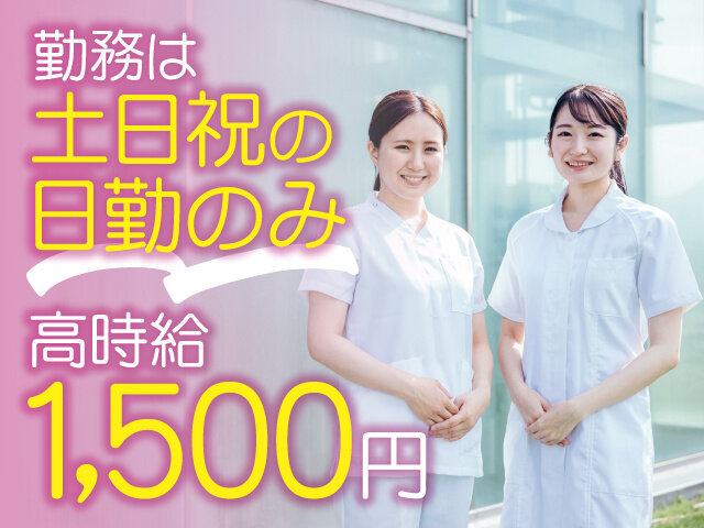 写真1