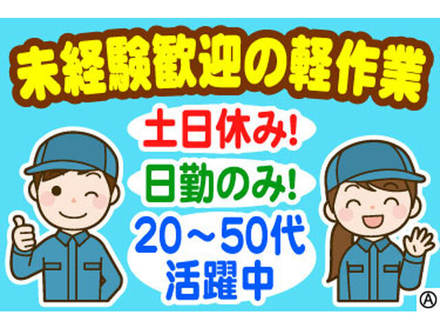 写真1