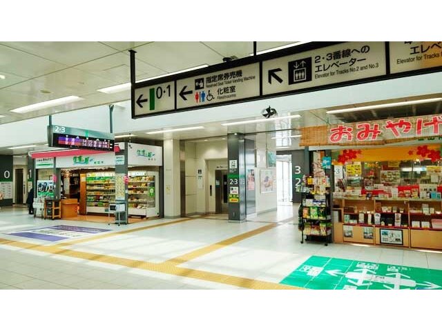 写真1