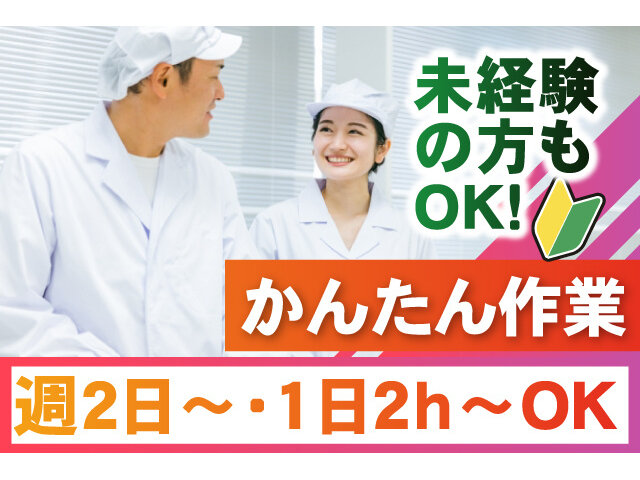 写真1