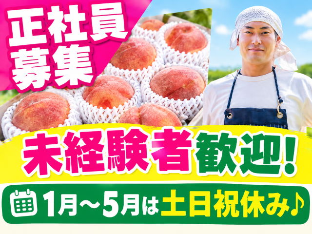 青果物パッケージ・配送スタッフ正社員
