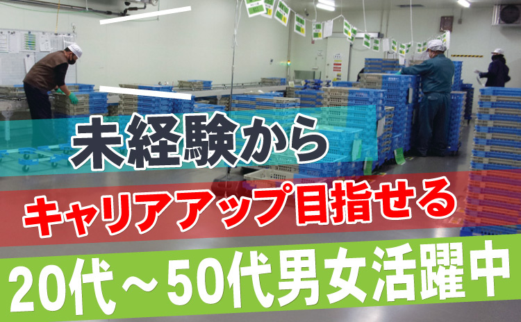 20代～50代男女活躍中