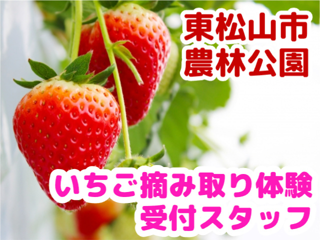 東松山市農林公園・いちご摘み取り体験受付スタッフ