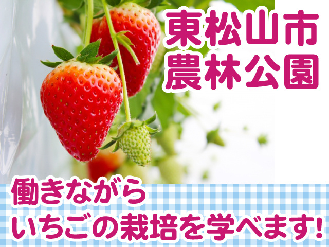 いちごの栽培・接客／働きながら学べる