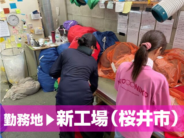 写真1