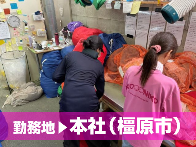軽作業スタッフ