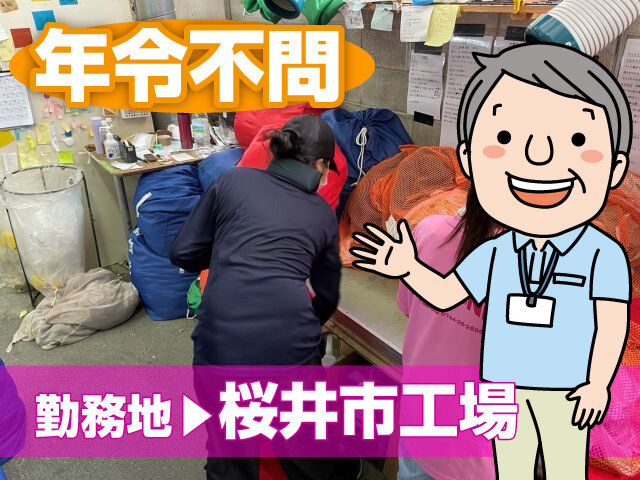 写真1