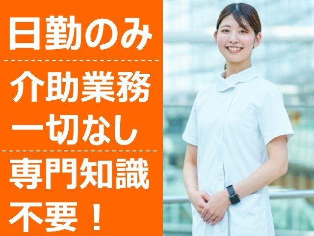 写真1
