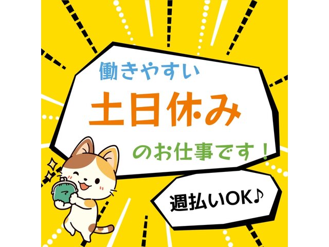 写真1
